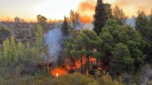 Imagen de Se incendió un sector del Parque Norte de Neuquén y presumen que fue intencional