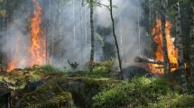 Imagen de Chile combate 34 incendios forestales y declaran alerta roja en diversas regiones