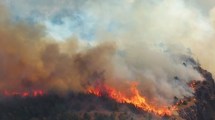 Imagen de Sigue activo el incendio en el parque nacional Los Alerces y el clima complica las tareas en Chubut