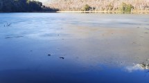 Imagen de La laguna escondida camino al Tronador, una joya para descubrir cerca de Bariloche