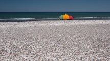 Imagen de La Conchilla, una playa tan linda como su vecina Punta Perdices, a 65 km de Las Grutas y con música propia