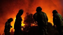 Imagen de Incendios forestales en Chile: murió un brigadista mientras combatía el fuego y ya son 25 los fallecidos