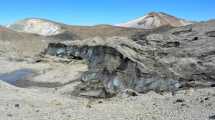 Imagen de En la cordillera del norte neuquino se registró un sismo en profundidad