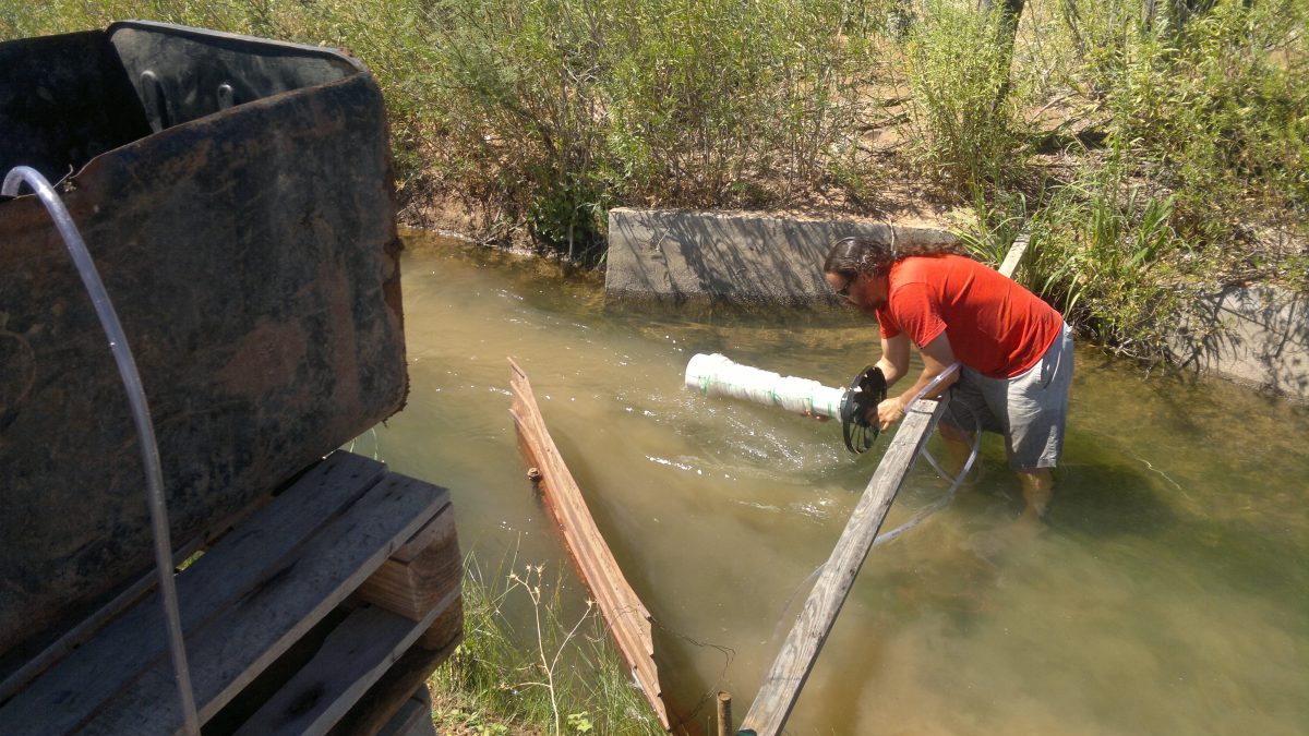 Bomba de río. Para su construcción se pueden utilizar elementos reciclables.