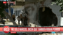 Imagen de Video: los narcos le robaron el caniche y lo recuperó durante la pueblada en Rosario