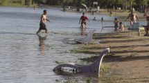 Imagen de Por la mayor erogación en el río Limay, los guardavidas de Neuquén duplicaron su trabajo