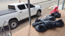 Imagen de Secuestraron más de 300 kilos de carne en Catriel