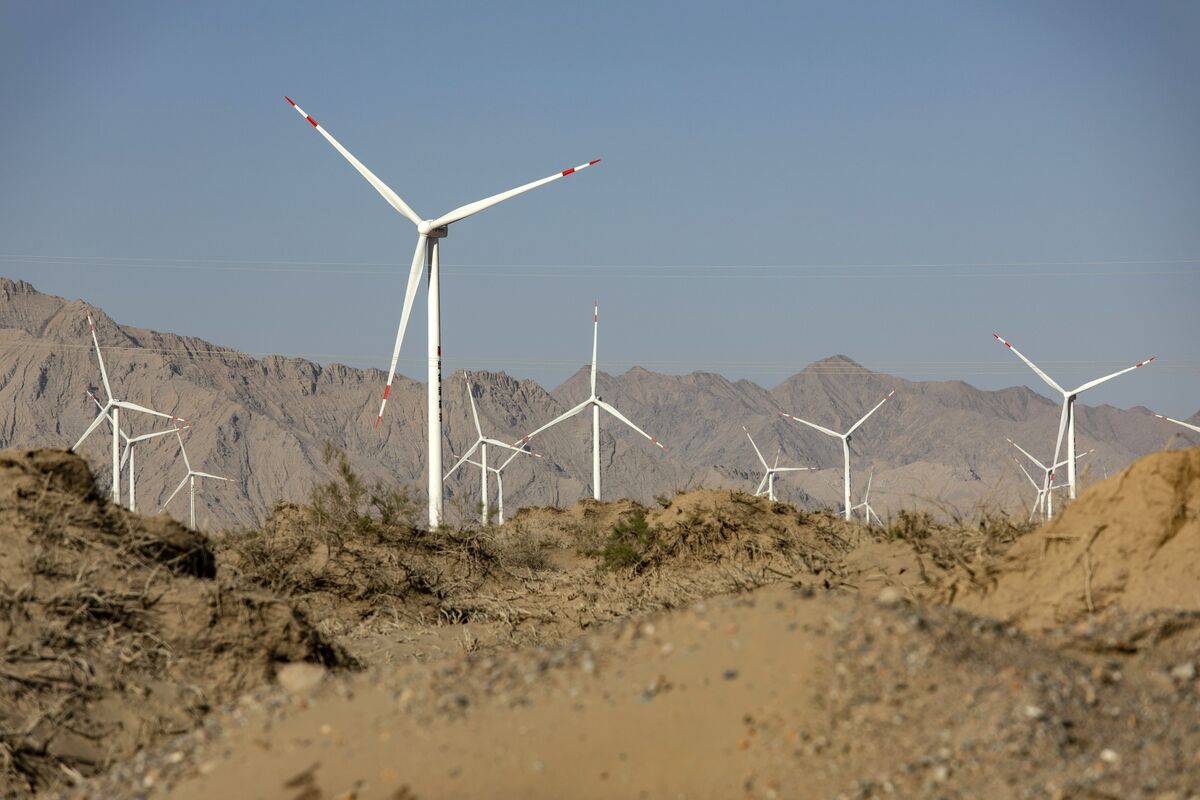 La demanda de aerogeneradores alcanzó nuevos máximos en 2022. Foto: gentileza. 