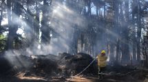 Imagen de Los incendios en Bariloche estuvieron «bajo control» este verano