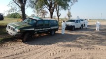 Imagen de Segundo caso de gripe aviar en aves de corral en el país: esta vez en General Alvear