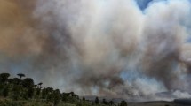 Imagen de Uno de los incendios en el Parque Nacional Lanín está «descontrolado»