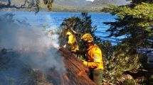 Imagen de Rolando Figueroa y Alberto Weretilneck piden a Nación recursos para afrontar incendios forestales