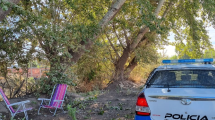 Imagen de El conflicto entre vecinos por tala de árboles revivió un viejo pedido al municipio de Neuquén