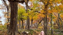 Imagen de PreViaje 4: una escapada Bariloche y los imperdibles del otoño en el destino más elegido