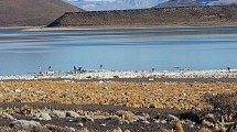 Imagen de La temporada de pesca invernal está en marcha en el Parque Nacional Laguna Blanca