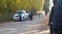 Imagen de Secuestraron equinos que estaban sueltos en chacras de Fernández Oro