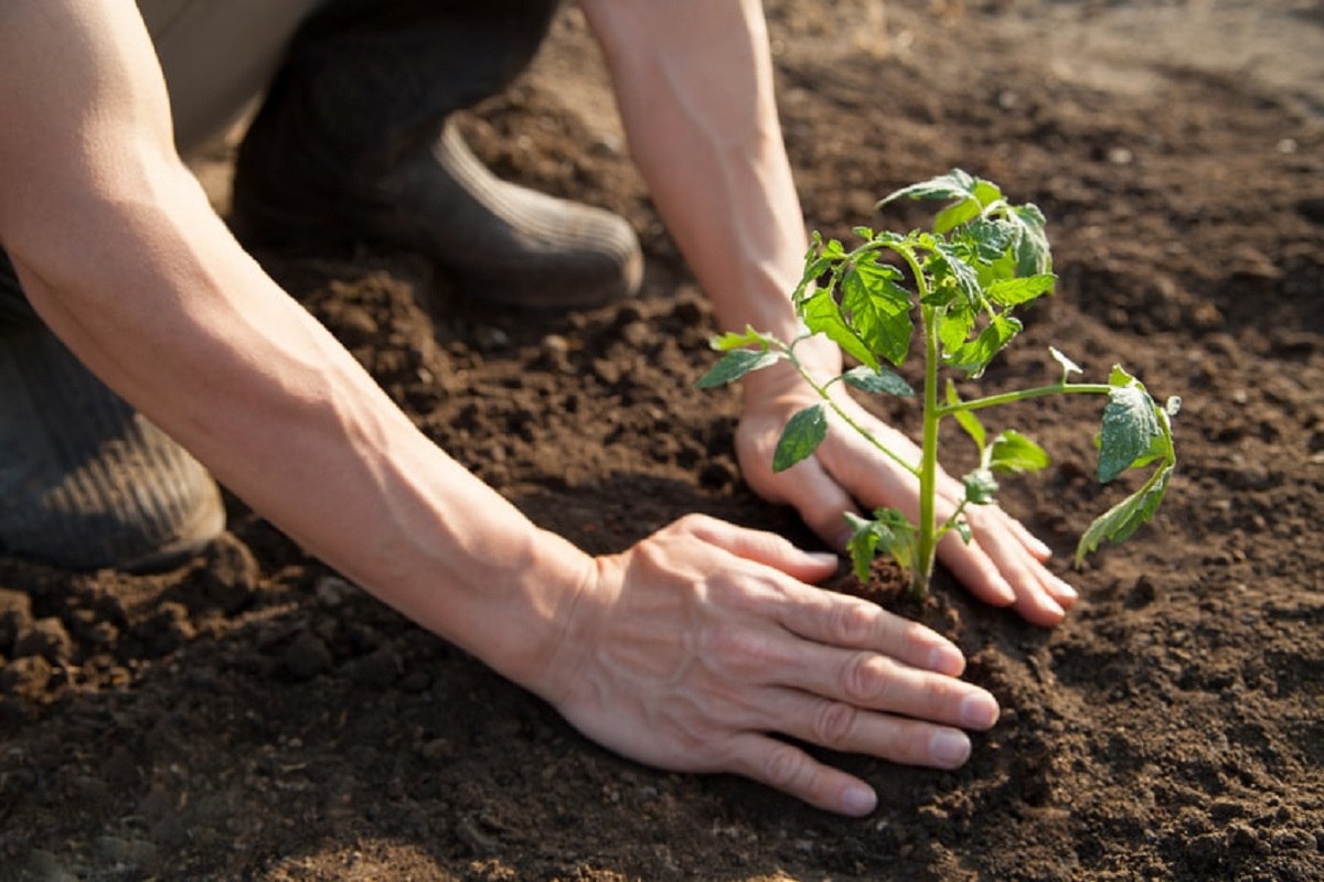 La agroecología gana adeptos a nivel mundial.