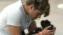 Imagen de Morita, la perrita de Marcos de Gran Hermano, pasó por primera vez por la peluquería y así quedó