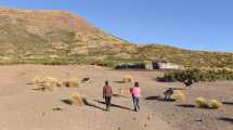 Imagen de Increíble, pero real: cuatro pueblos de Neuquén votaron para una categoría que no existía