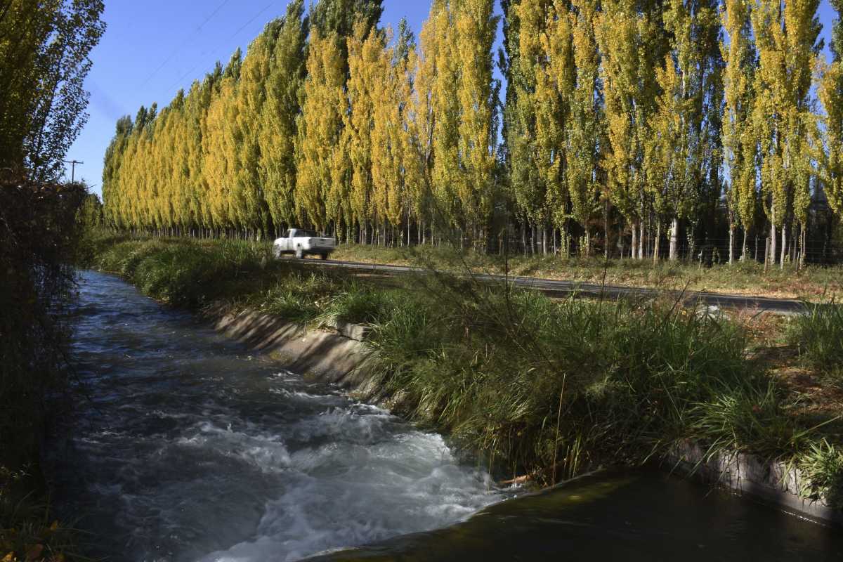 El otoño invita a recorrer caminos rurales, para descubrir sus colores. Fotos: Juan Thomes.