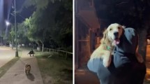 Imagen de La peor traición: se reencontró con su ex cuando paseaba a su perra y la reacción del animal conmovió a todos