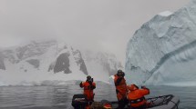 Imagen de Turismo en la Antártida: viaje a la base científica argentina más visitada por los cruceros