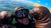 Imagen de El video más tierno: fue a hacer snorkeling en Puerto Madryn y los lobitos marinos lo llenaron de mimos