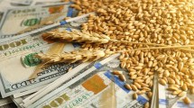 Imagen de El «dólar agro» entra en vigencia: cuánto se espera liquidar desde las economías regionales