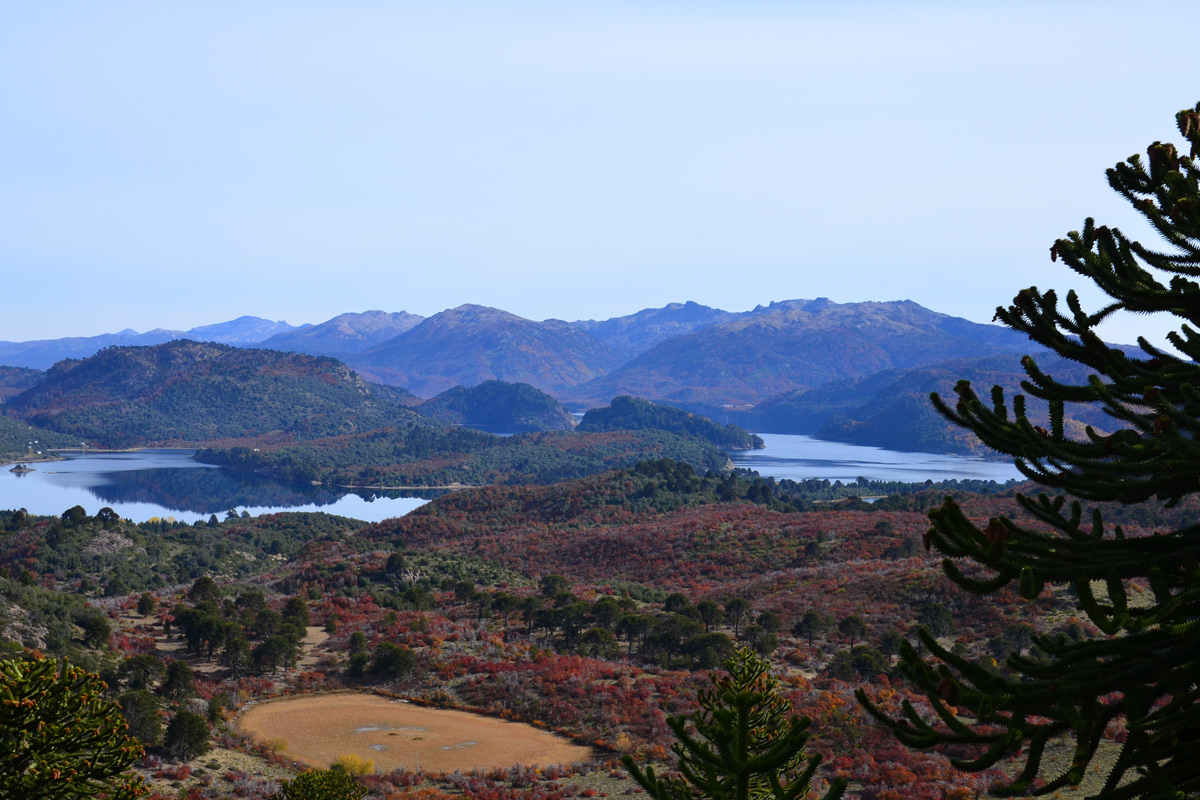 Se preparan para recibir un gran número de personas que buscan disfrutar de sus paisajes y de la gigante paella al aire libre. Fotos Turismo Villa Pehuenia Moquehue.