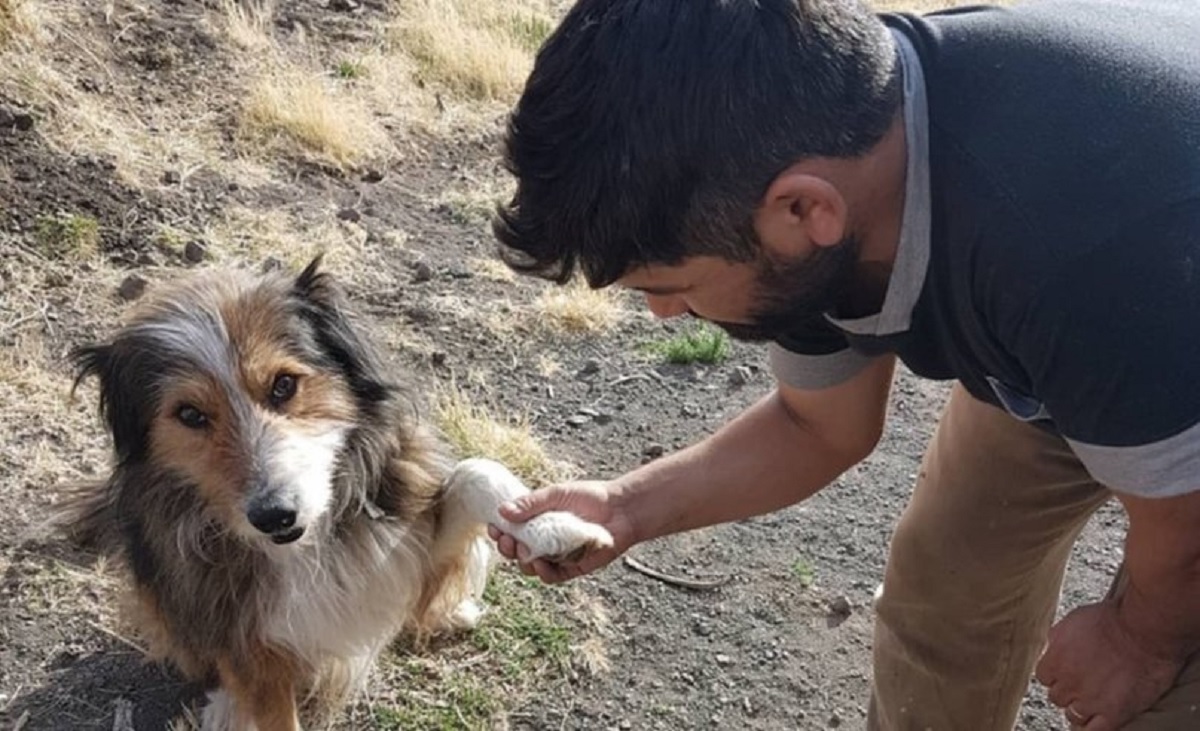 Jaime Darío Contreras y uno de los tantos animales que ayudó. 