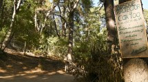 Imagen de Nadie frena las edificaciones sobre la cota 900 del cerro Otto, en Bariloche