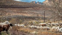 Imagen de Escapadas: la Ruta 23 y su mágico recorrido para unir el mar con la cordillera al sur de Río Negro