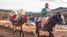 Imagen de Paren que viene el arriero: al paso del último criancero del norte neuquino se detuvieron las obras de la represa del río Nahueve