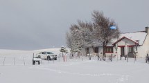 Imagen de «Acá se hace Patria, amigo»: así son los días en un solitario paso fronterizo en la Patagonia rodeado de nieve