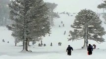 Imagen de Primeros Pinos: de parque de nieve abandonado en Neuquén, a reserva natural con control militar