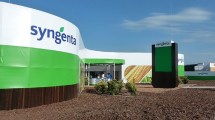 Imagen de La Justicia investiga a Syngenta por presuntas maniobras de triangulación de importaciones