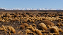 Imagen de Avanzarán en estrategias para el manejo eficiente del agua para los productores en la Línea Sur