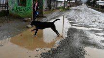 Imagen de La nieve amagó en Bariloche pero la lluvia se impuso y complica las calles