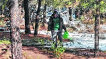 Imagen de El rincón de Bariloche donde se producen plantas nativas