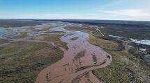 Imagen de Video: El río Colorado también tuvo una crecida extraordinaria