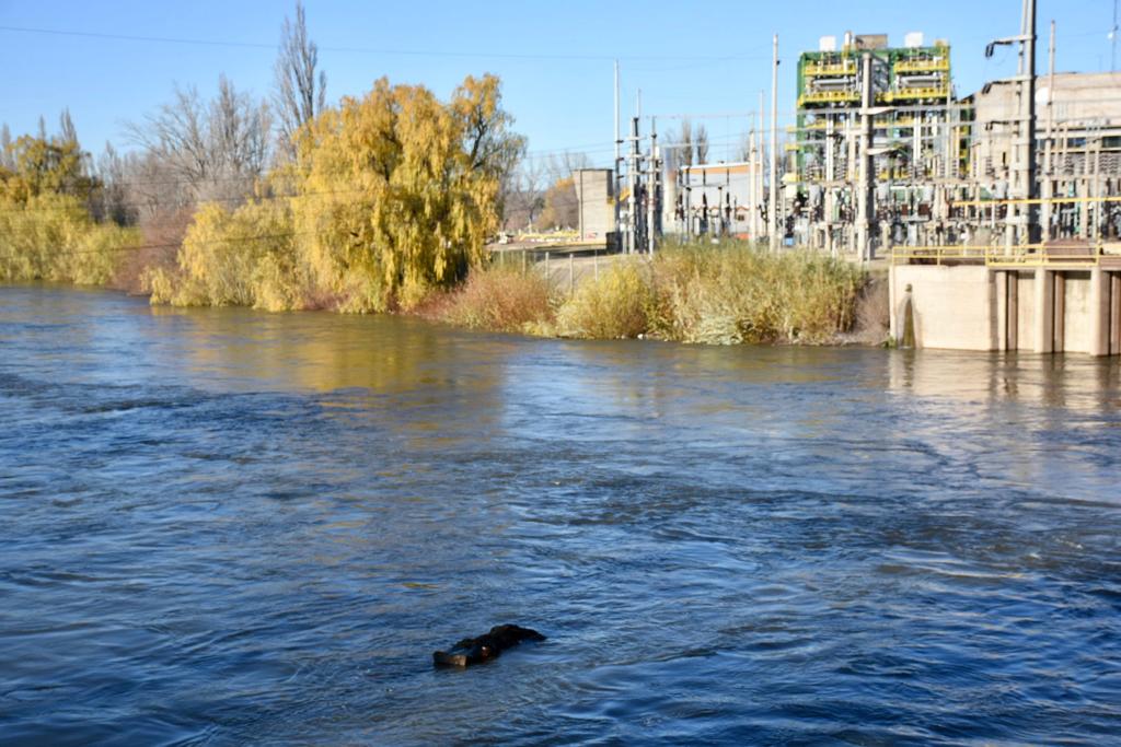 La crecida del río Neuquén no afectará la potabilización de agua en Cipolletti. Foto: Matías Subat