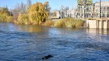 Imagen de Crecida del río Neuquén en Cipolletti: no afectará el suministro de agua potable