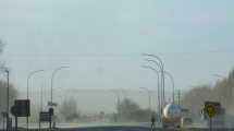 Imagen de Lo que dejó el temporal de viento en Roca: roturas, cortes de luz y caída de árboles