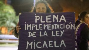 Ley Micaela: Néstor García buscó el respaldo de diputados para rechazar las modificaciones