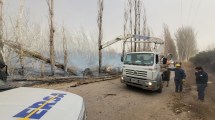 Imagen de Lo que dejó el temporal en Cipolletti: árboles caídos, incendios y cortes de luz