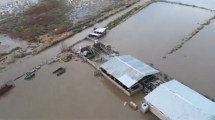 Imagen de La crecida del río Neuquén en Sauzal Bonito: «Hay casas que quedaron tapadas por arcilla»