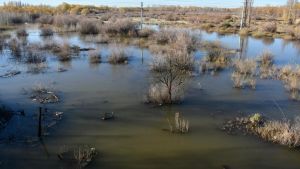 40 familias y el temor latente de perder todo por el río: qué pasa con la crecida del Neuquén