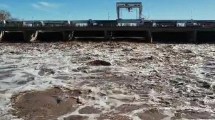 Imagen de Monitorean el río Colorado en Catriel por las nuevas crecidas: «no hay evacuados»