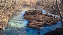 Imagen de Qué está pasando con los hidrocarburos y agrotóxicos que llegan al río Negro