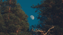 Imagen de Aunque parece más grande en el horizonte, la Luna no varía su tamaño: cómo podés comprobarlo